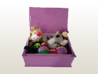Pet Memory Box (Purple) 3.jpg